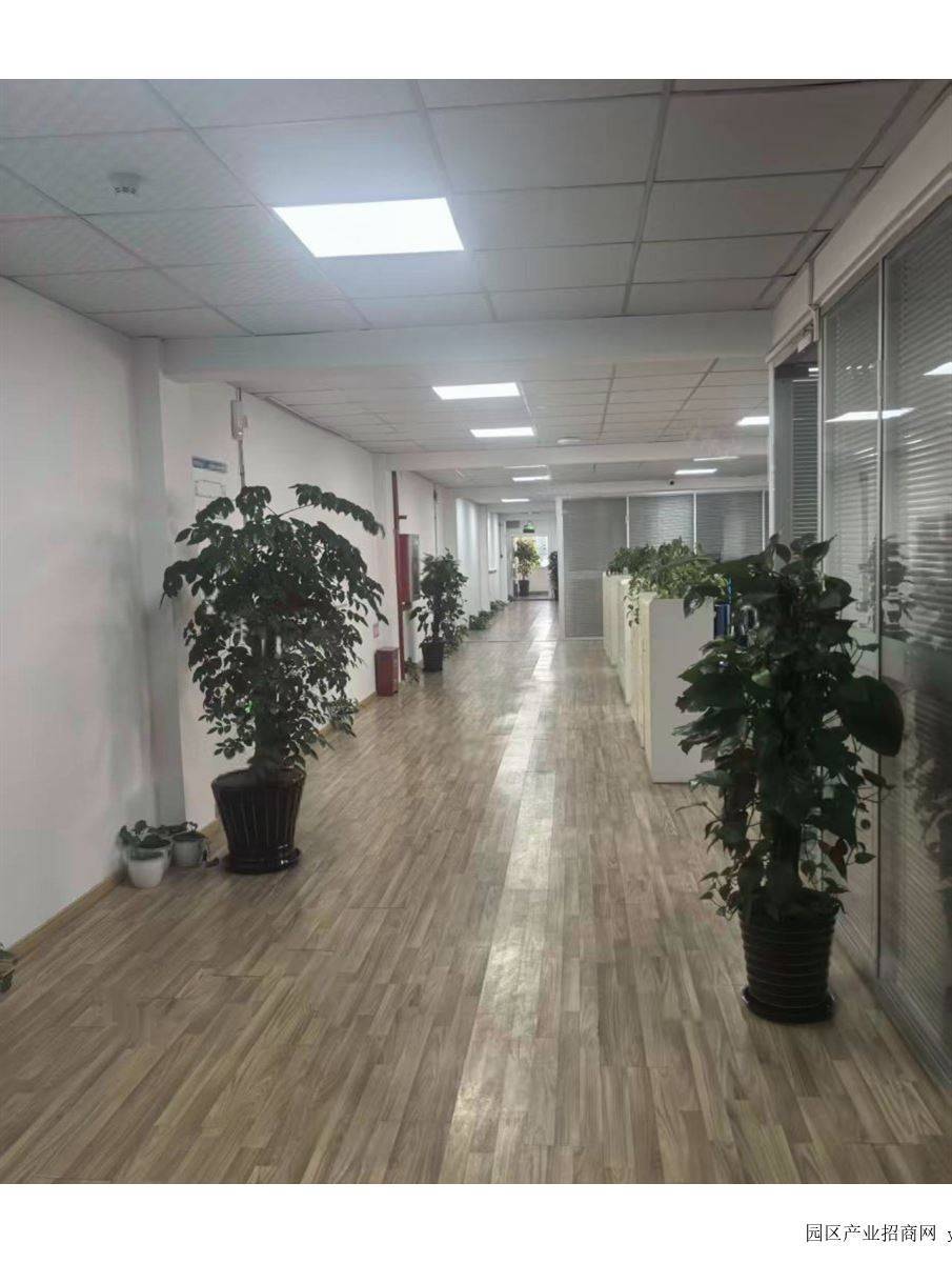 园区实景图