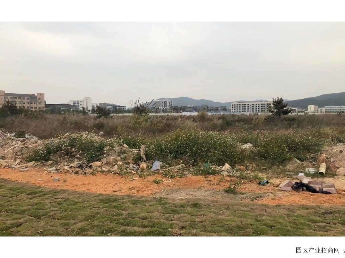 项目整体实景