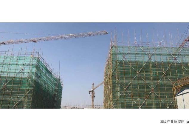 项目整体实景
