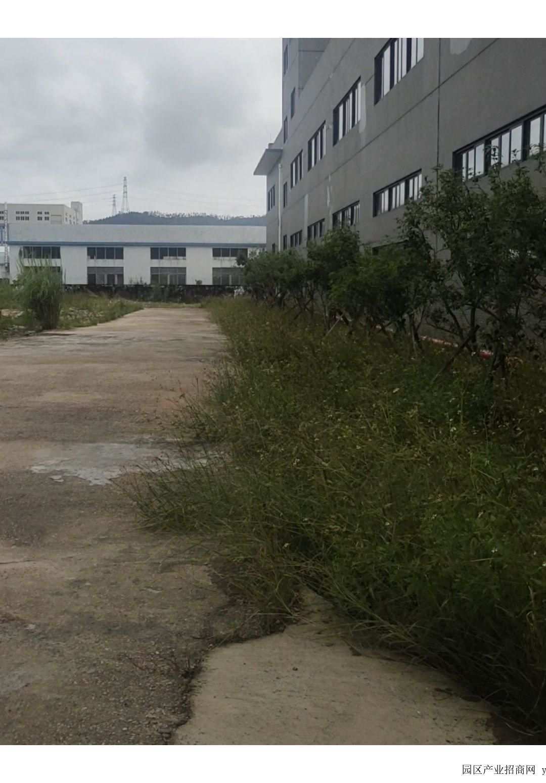 珠海金湾粤港澳大湾区产业园市区厂房整体包租，欢迎有实力的物业，租期10年-珠海厂房出租（可定制）