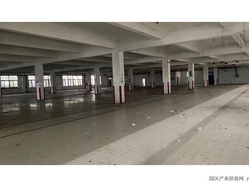 区独门独院20000平米厂房出售-无锡滨湖滨湖胡埭镇厂房出售（多图实拍）