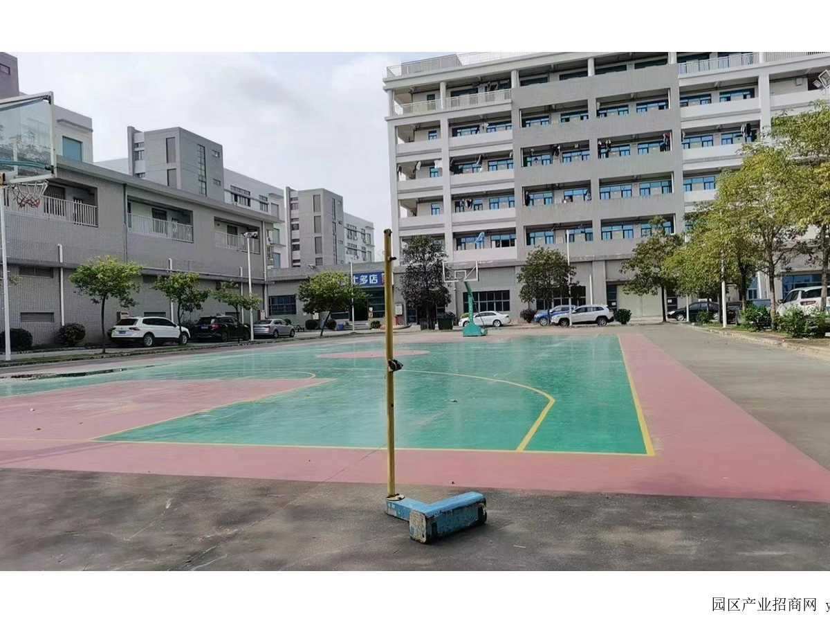 园区实景图