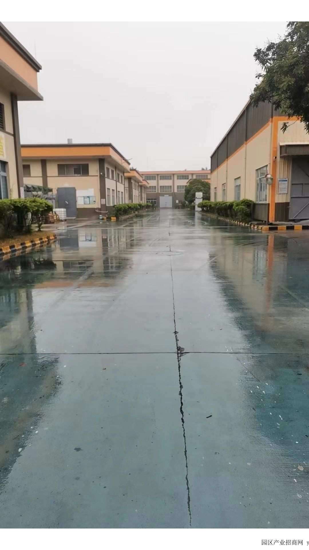 项目整体实景