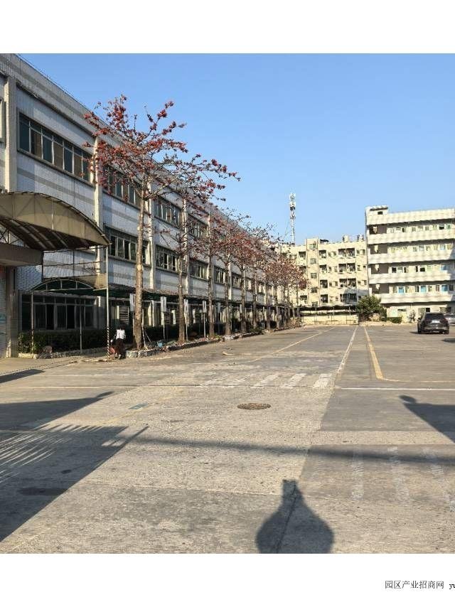 东莞粤港澳大湾区产业园寮步凫山工业园分租一楼三楼各约3000平方形象好，仓库出租（实地看房）