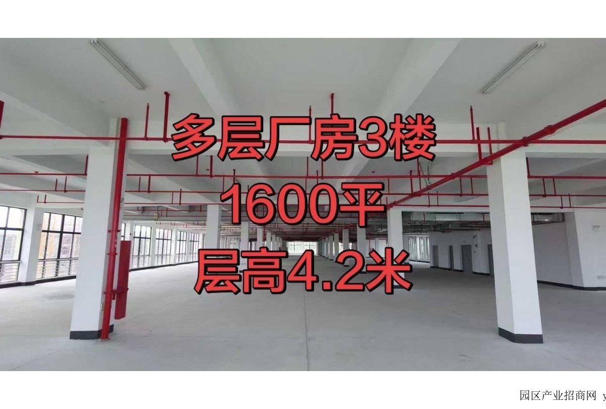 园区实景图