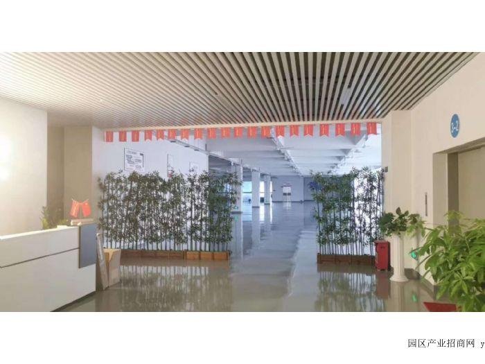 中山小榄政府补贴产业园楼上带豪华装修厂房出租（实地看房）