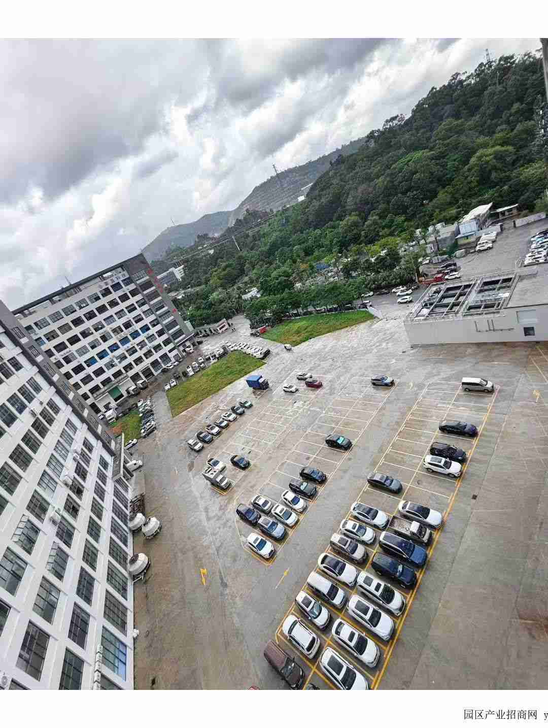 园区实景图
