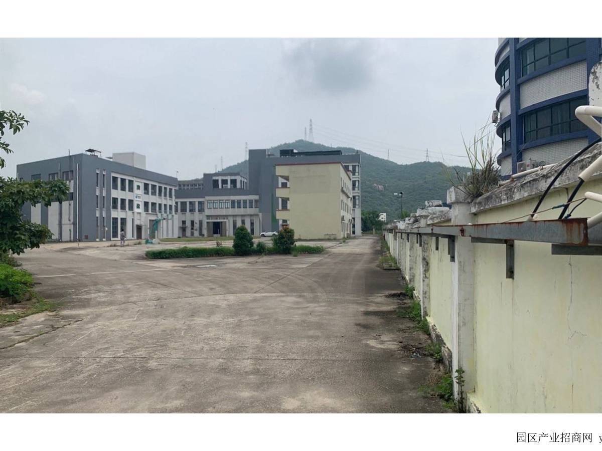 园区实景图