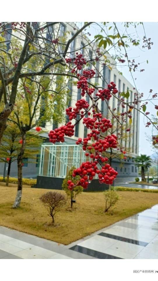园区实景图