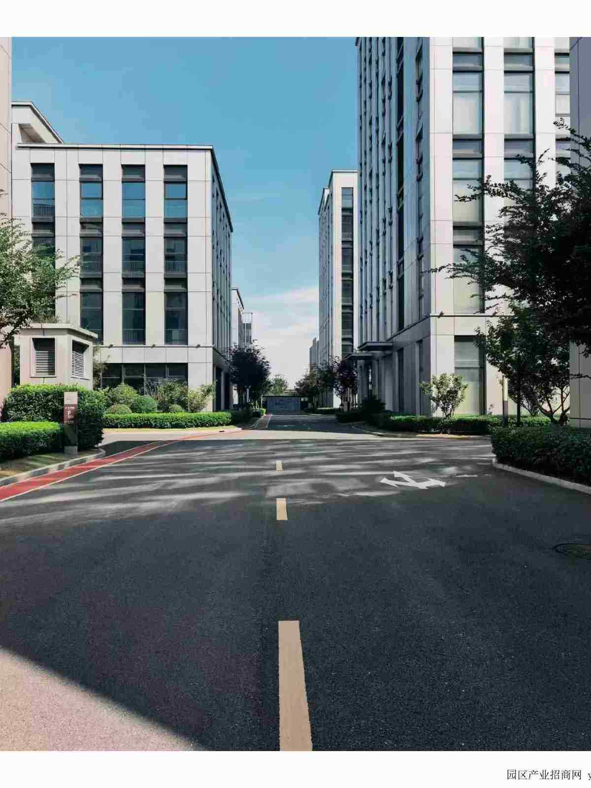 项目整体实景