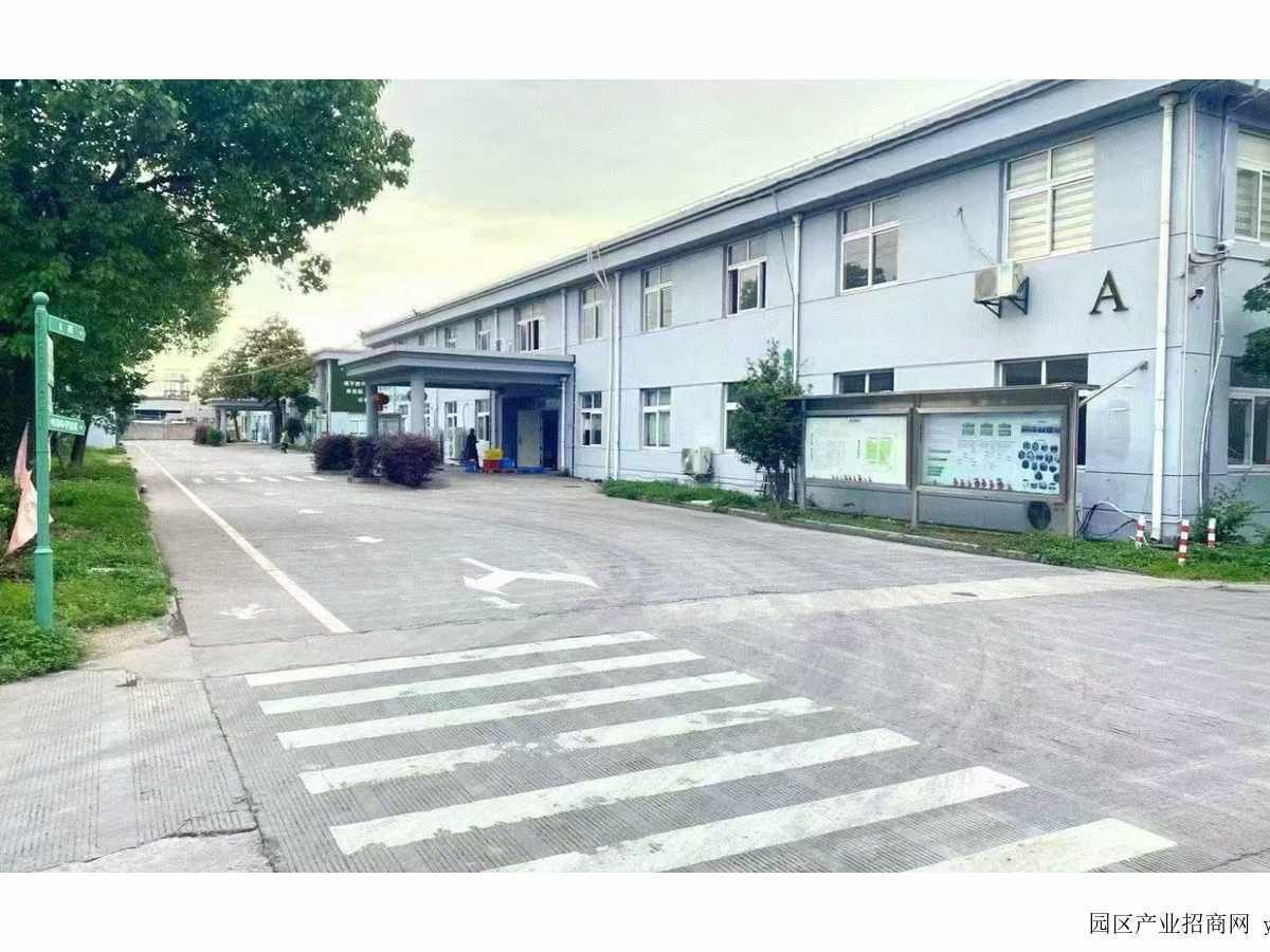 徐行12000平米单层厂房出租，可分租-上海嘉定嘉定徐行厂房出租（实地看房）