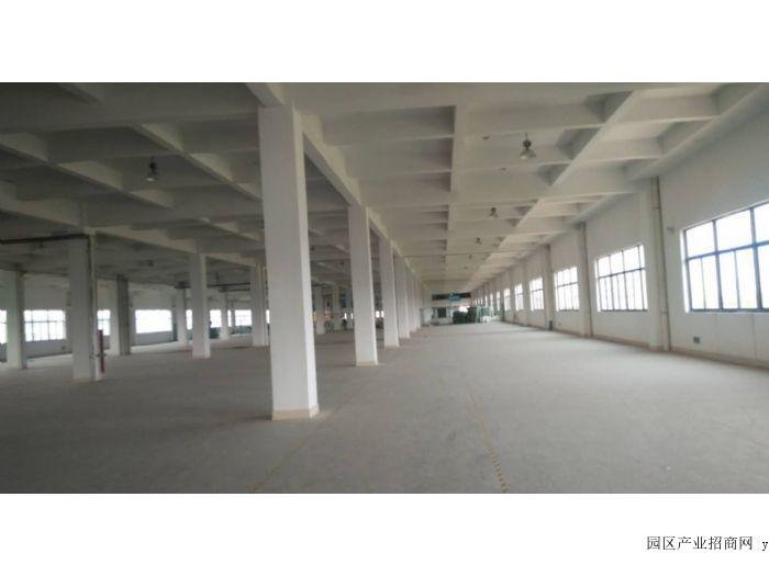 中山三角开发区4500平楼上、可仓储、电商、服装、生产等、500起分电大交，仓库出租（多图实拍）