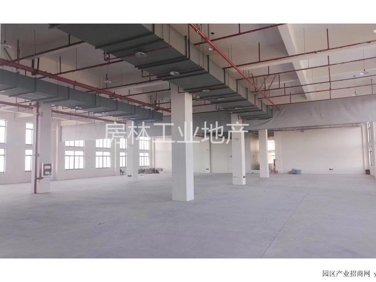 南通市如东县全新食品产业园招商丙类消防周边配套成熟，厂房出租（多图实拍）