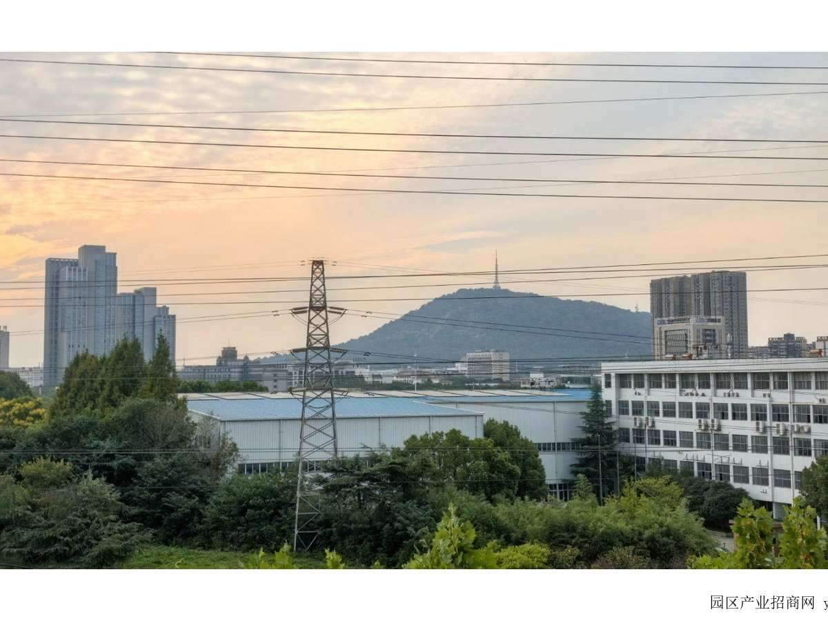 项目整体实景