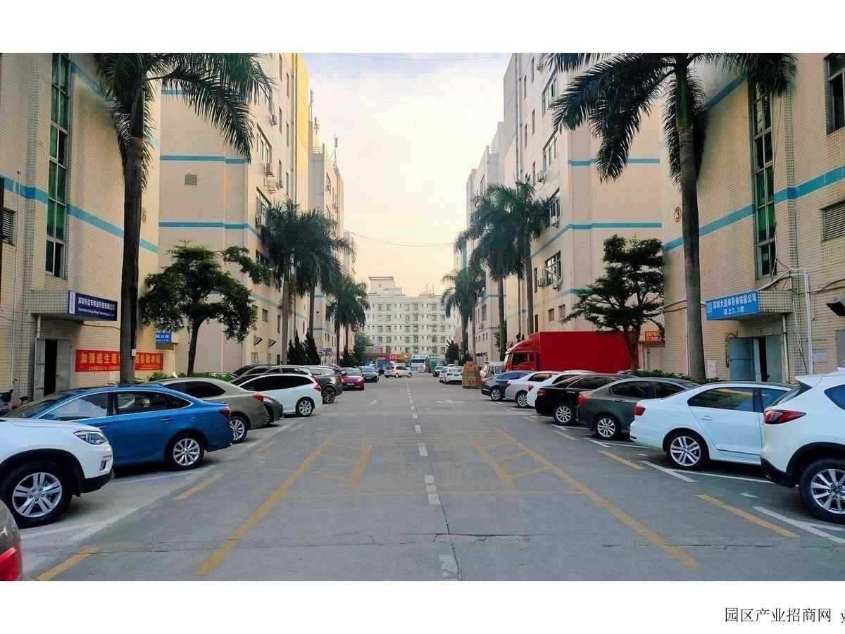 周边配套实景