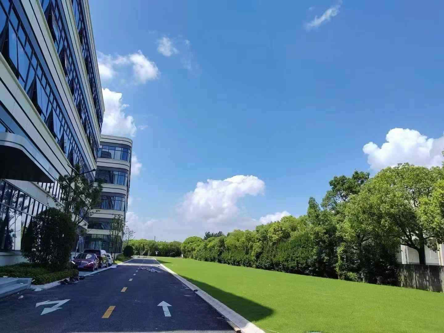 园区道路与绿化