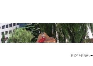 周边配套实景