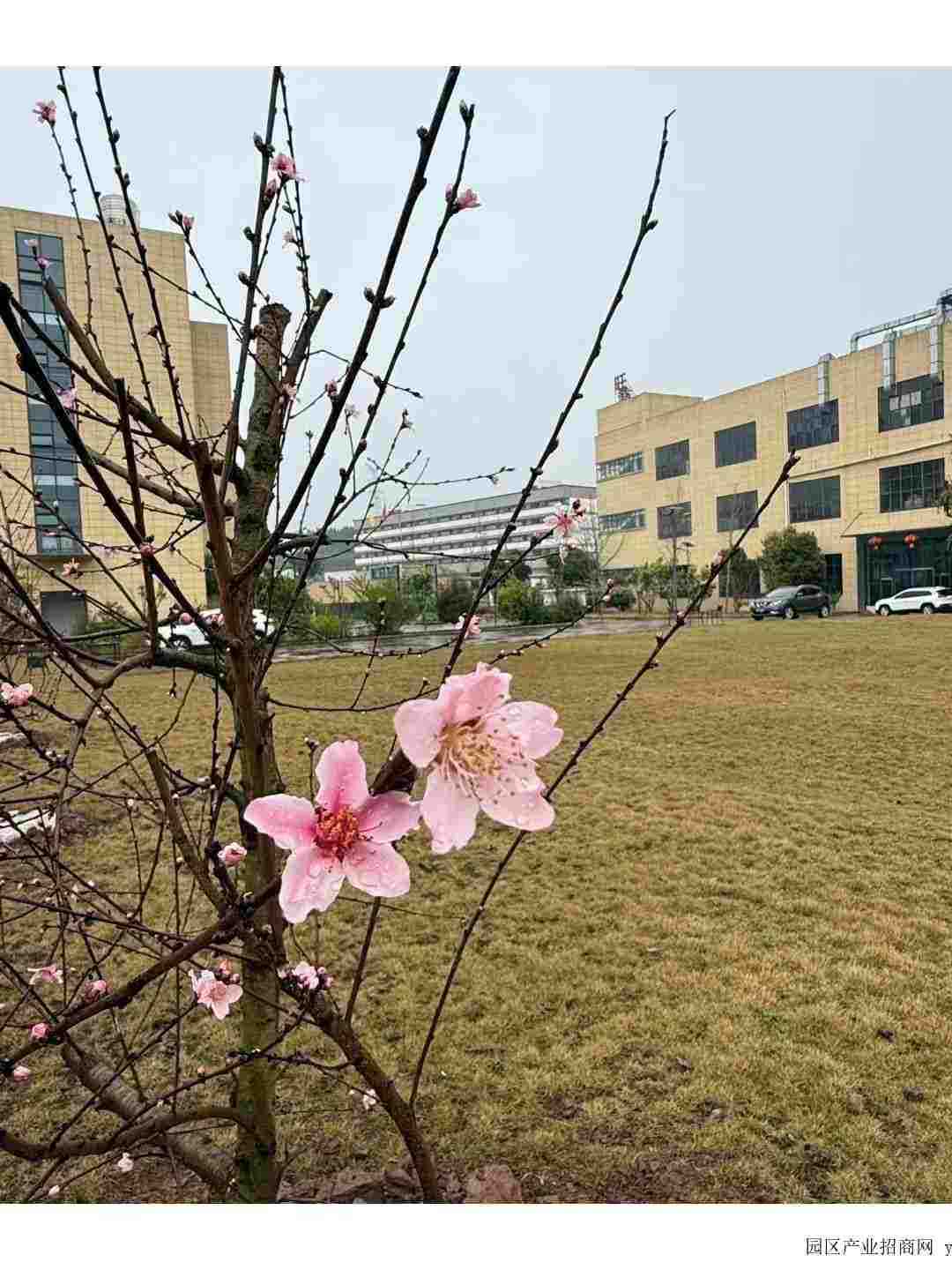 园区实景图
