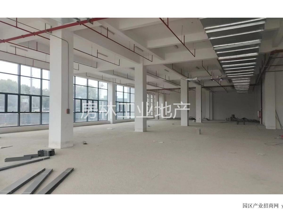 园区实景图