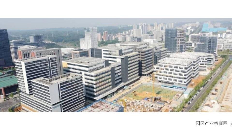 成都双流专注成渝产业园，政府开发区，全新，10元单价。3年免租期，仓库出租（多图实拍）