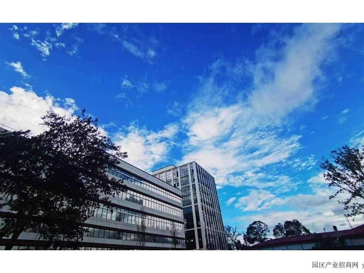 项目整体实景