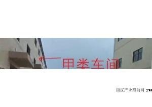 大亚湾西区临深大路边11000平滴水11米带牛腿钢构厂房出租-深圳龙岗坪地厂房出租（实地看房）