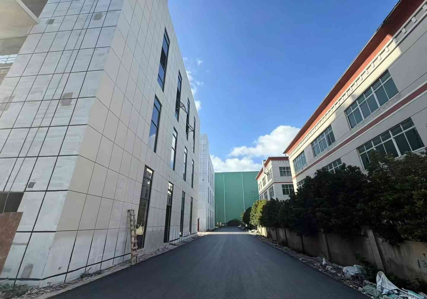 园区道路实景