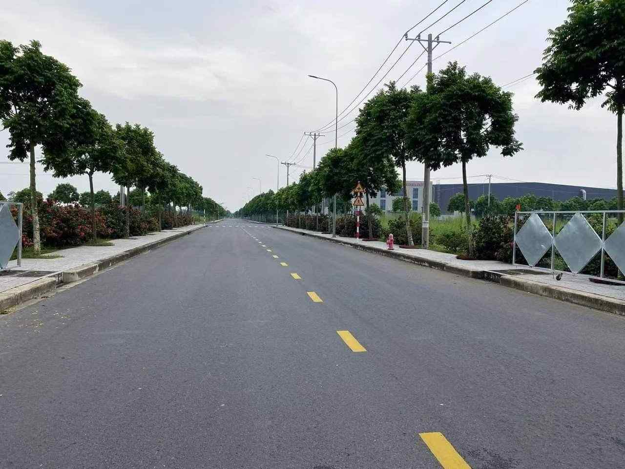 工业区园区道路绿化