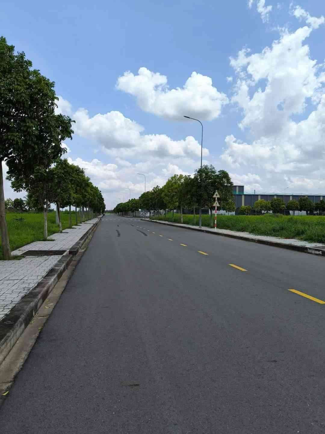 工业区道路实景