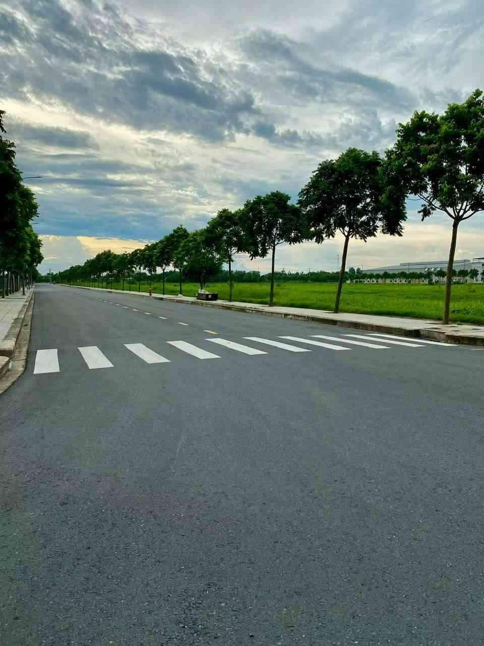 工业区园区配套道路