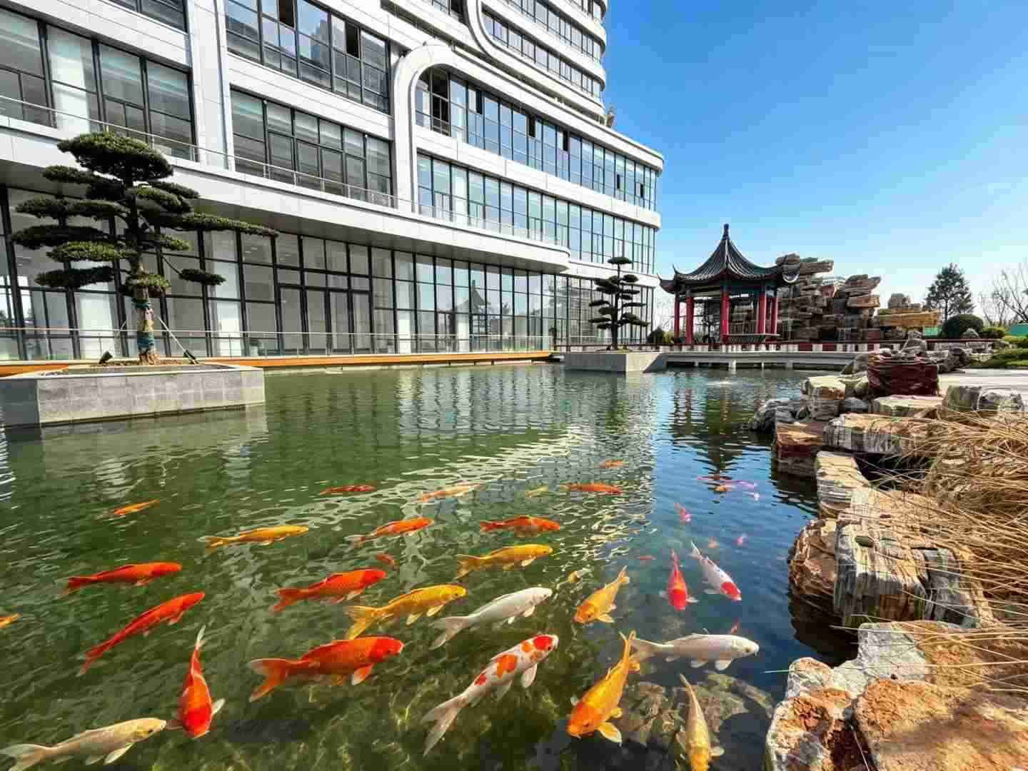 园林园区假山流水八角亭