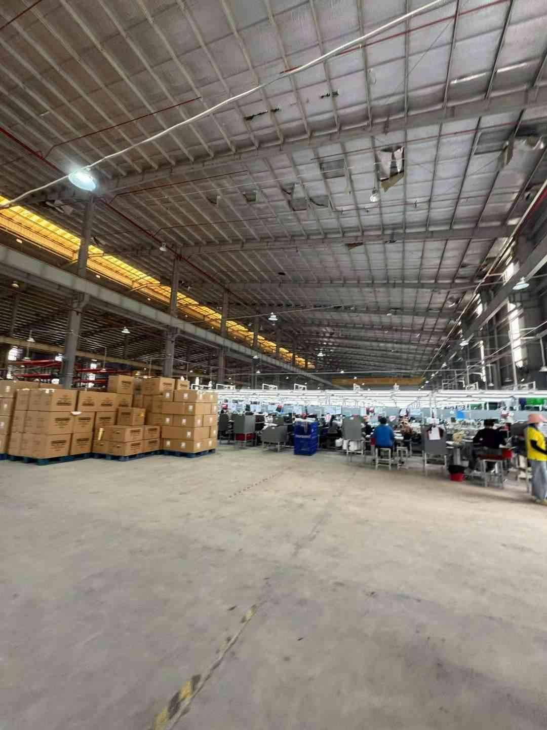 厂房内部实景：生产区与堆场