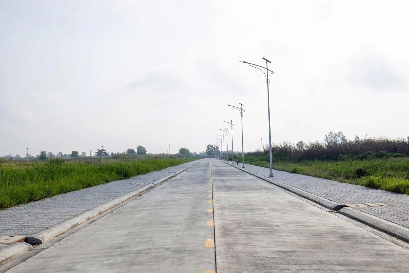 园区道路照明与管线布设实景
