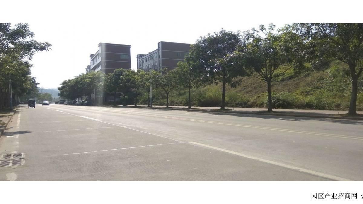 东莞市塘厦镇７６０００平米一楼厂房出租 (可分租)（园区招商）