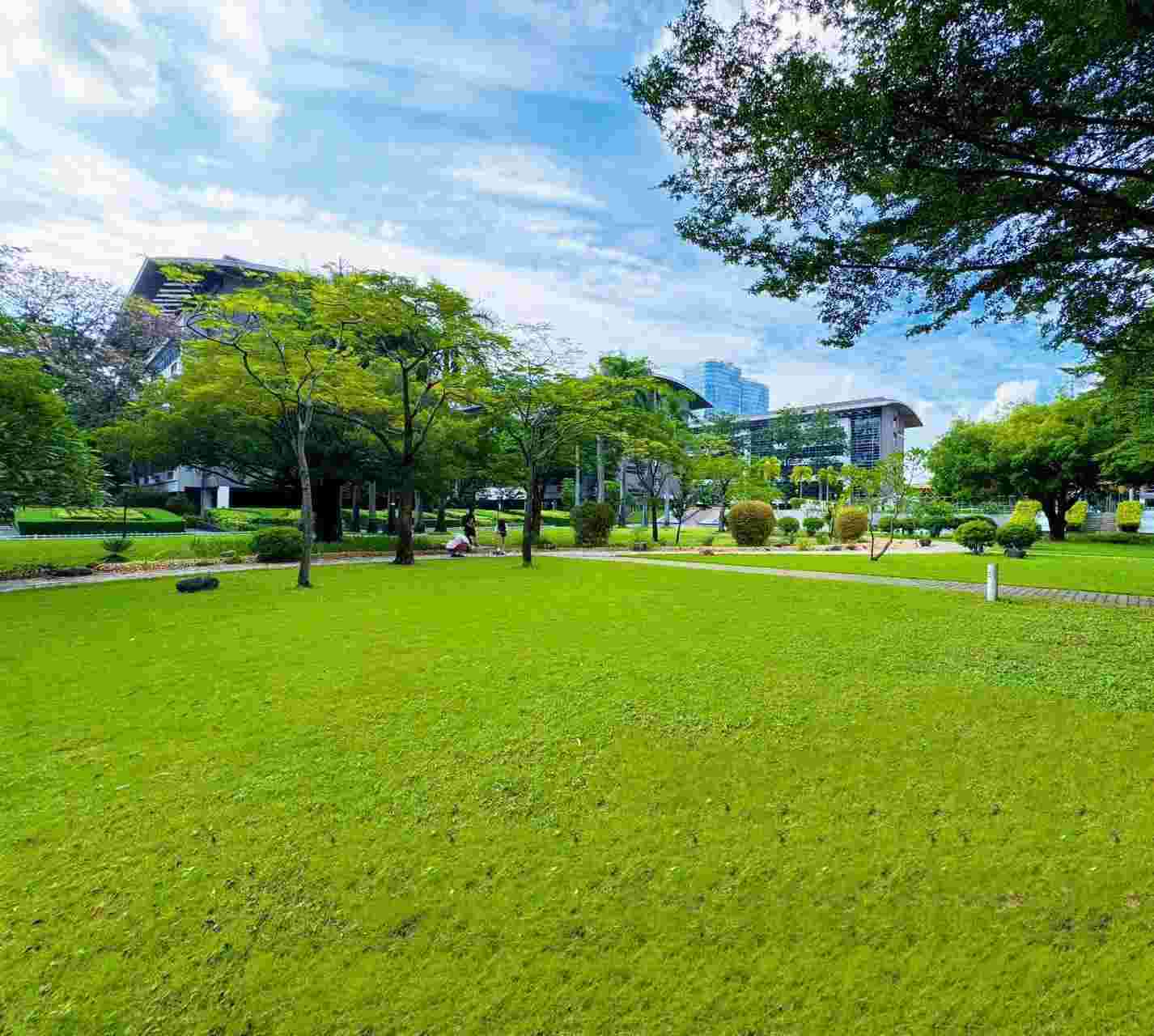 深圳园林式写字楼出租 198平2+1特价8800元 双地铁口免费会议室（配套齐全）