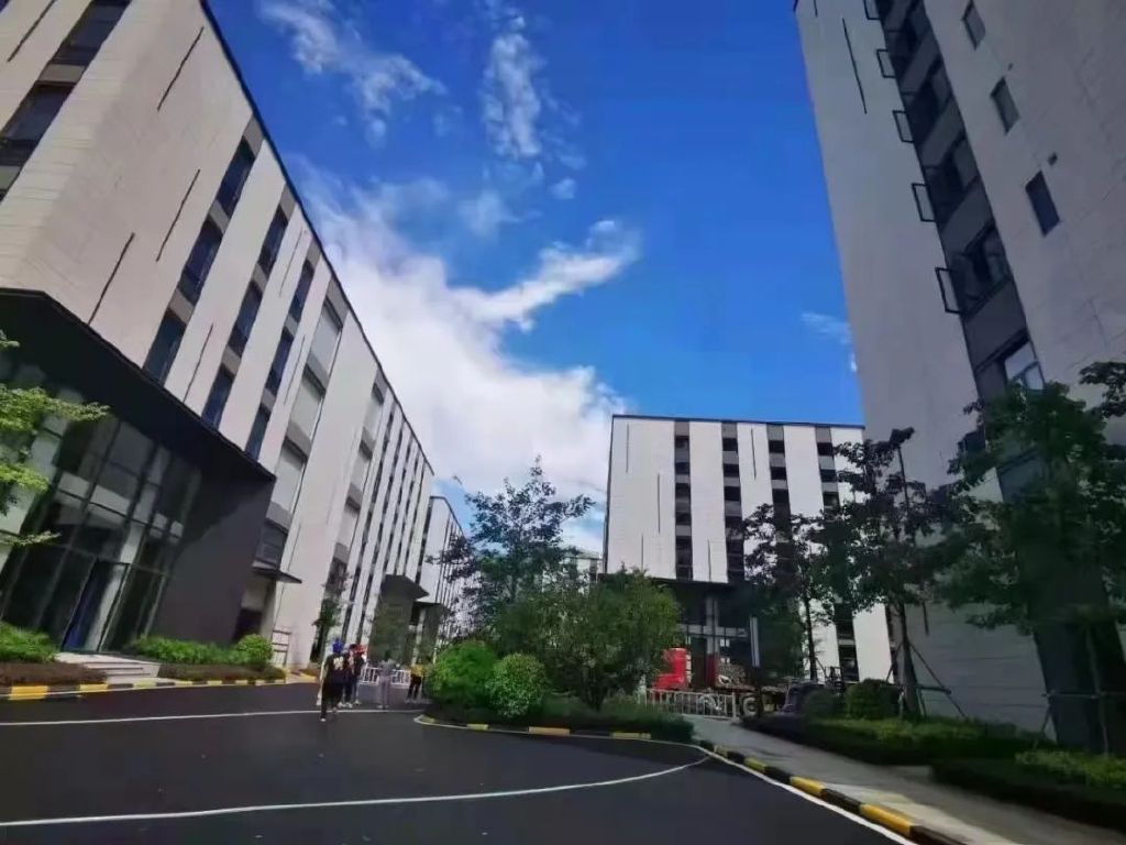 产业园区招商：本地企业与外地企业