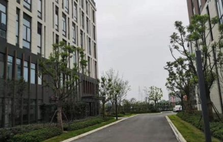 上海松江派米雷佘山智地科技园