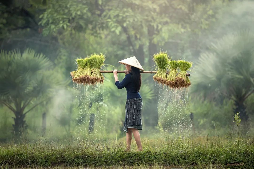 如何在越南投资建厂并做好对外投资ODI备案？