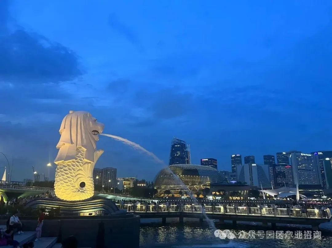中国科技企业出海新加坡：投资优势与实战指南